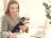 Healthier Pets Can Make Your Employees Happy