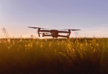 Drone Reforestation Scaling Forest Recovery with Autonomous Tech