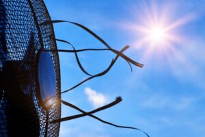 How Extreme Heat Harms the Human Body A Deadly Internal Struggle