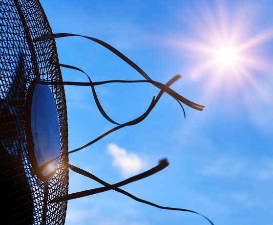 How Extreme Heat Harms the Human Body A Deadly Internal Struggle