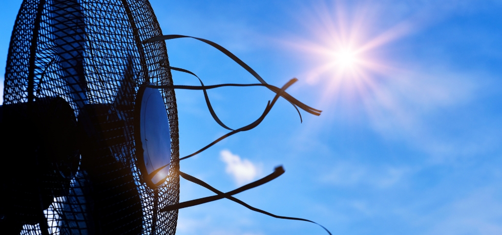 How Extreme Heat Harms the Human Body A Deadly Internal Struggle